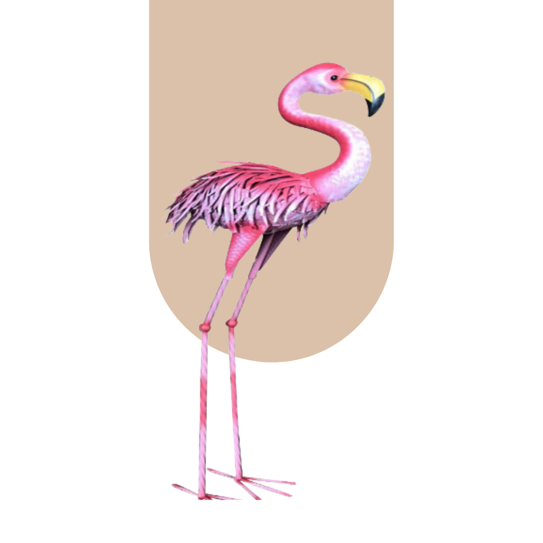  Flamingo